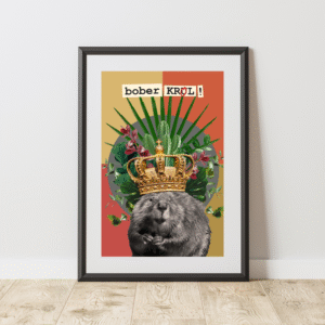 Bóbr Król w Koronie - plakat kolaż