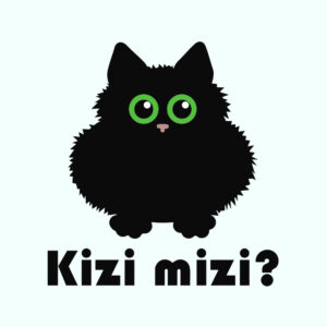 Bluza dresowa z haftem 'kizi mizi' - pre-order